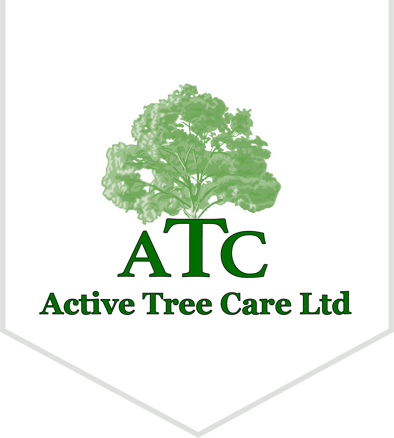 Tree Surgeon New Forest